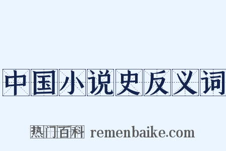 中国小说史反义词是什么意思的图片
